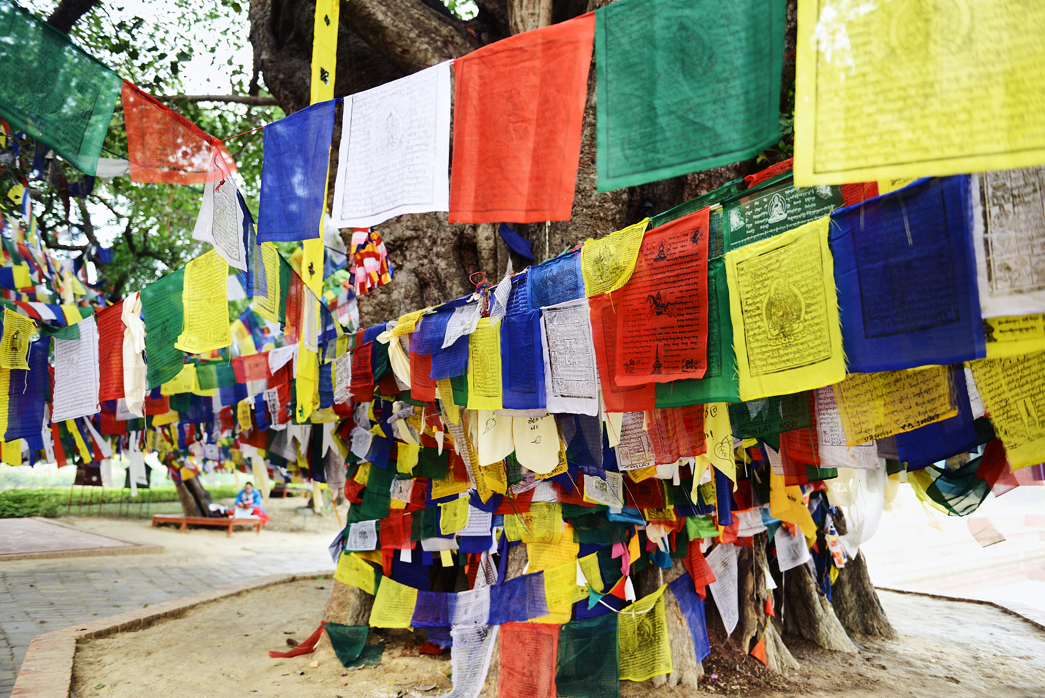 20140111 018 룸비니(부처 탄생지)